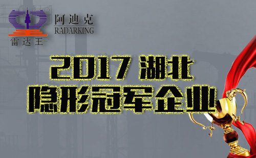 恭祝我司入選湖北省首批支柱產(chǎn)業(yè)細分領域隱形冠軍培育企業(yè)